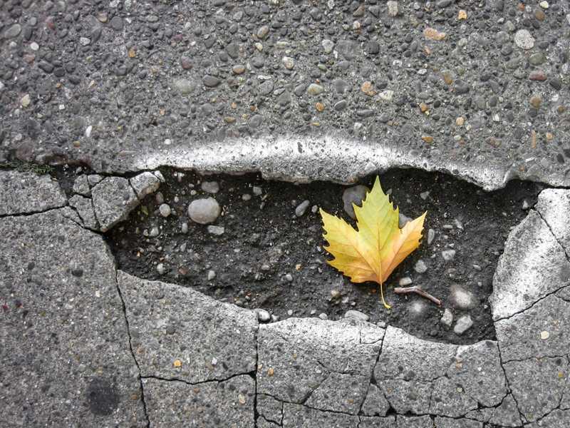 Pothole Severity Detectionimage